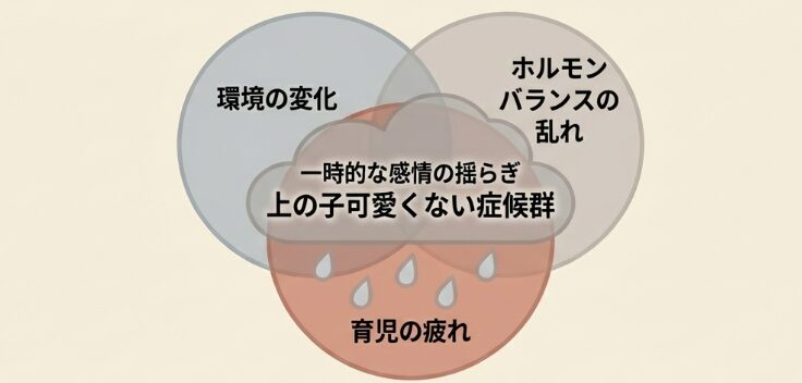 上の子可愛くない症候群の可能性